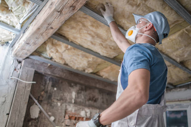Best Commercial Insulation in Tipton, IN